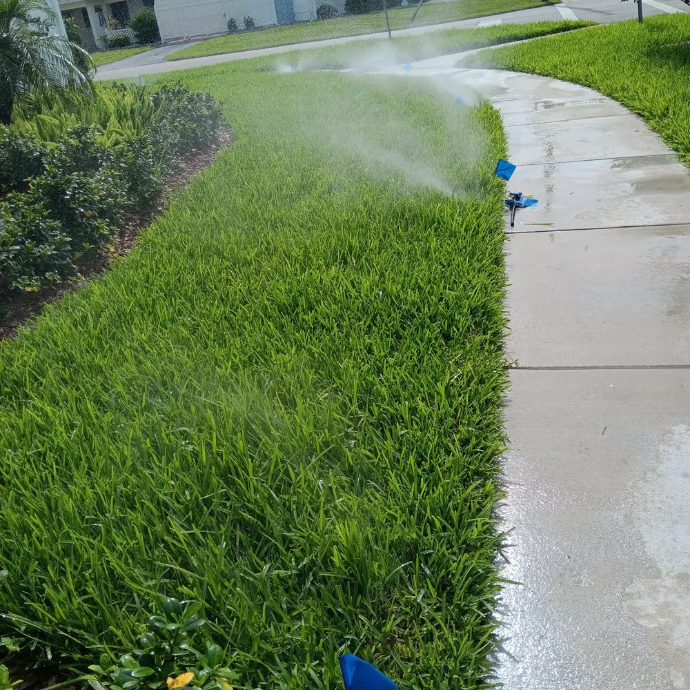 Top-rated yard cleanup service for homes across Boynton Beach, FL - Papi & Mommy's Irrigation & Landscaping