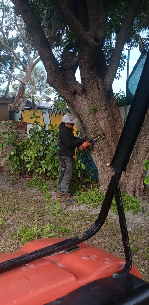 Professional outdoor landscaping experts serving Boynton Beach, FL - Papi & Mommy's Irrigation & Landscaping