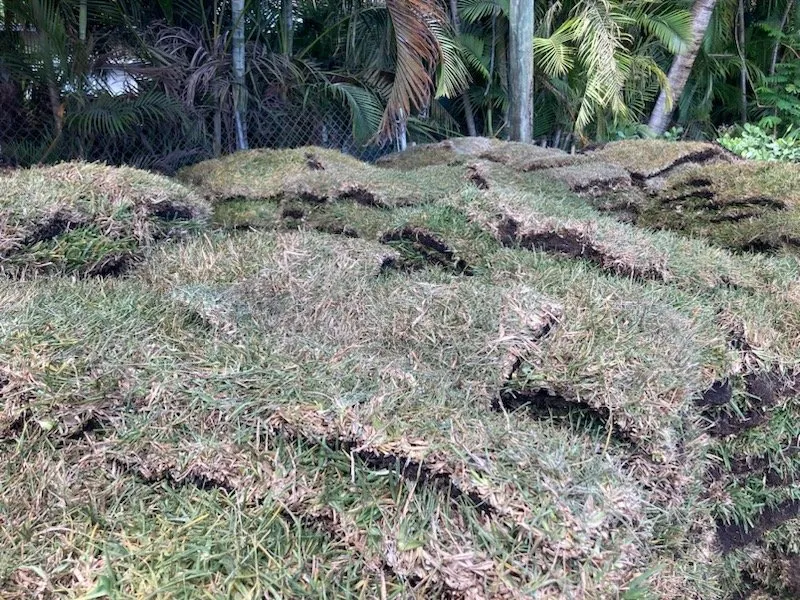 Local lawn mowing service for beautiful yards in Boynton Beach, FL by Papi & Mommy's Irrigation & Landscaping