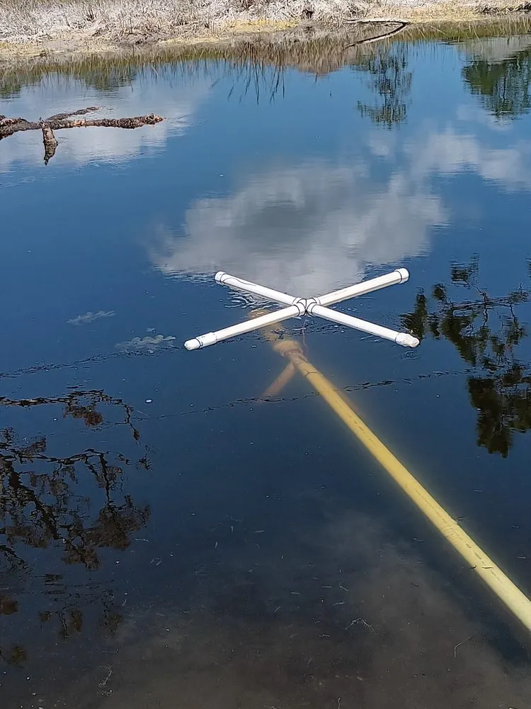 Affordable outdoor landscaping with custom design across Boynton Beach, FL - Papi & Mommy's Irrigation & Landscaping