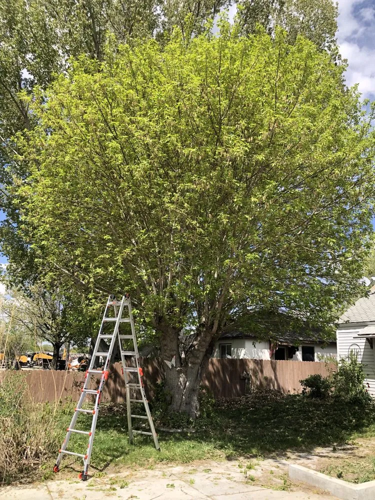 Top-rated residential landscaping in Twin Falls, ID by Papi Jai’s Services