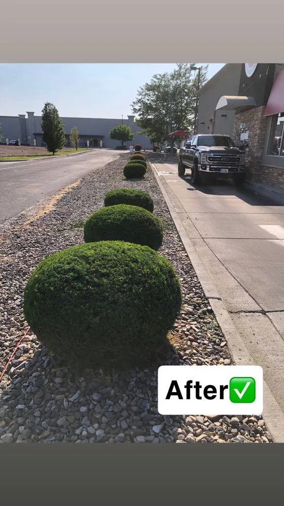 Reliable yard cleanup service in Twin Falls, ID by Papi Jai’s Services