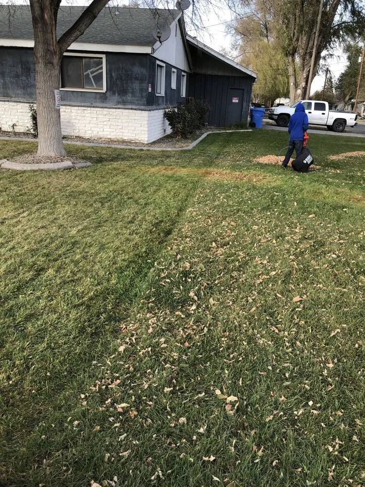 Top-rated yard cleanup service with custom design in Twin Falls, ID by Papi Jai’s Services