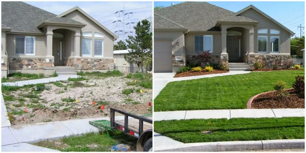 Trusted yard cleanup service experts serving Yulee, FL - Papi's Lawn Service