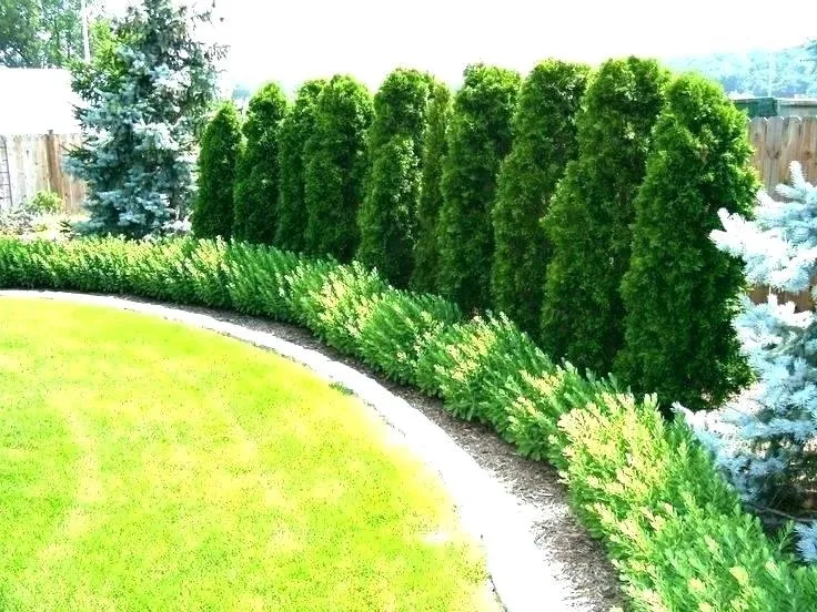 Expert lawn mowing service near you across Yulee, FL - Papi's Lawn Service