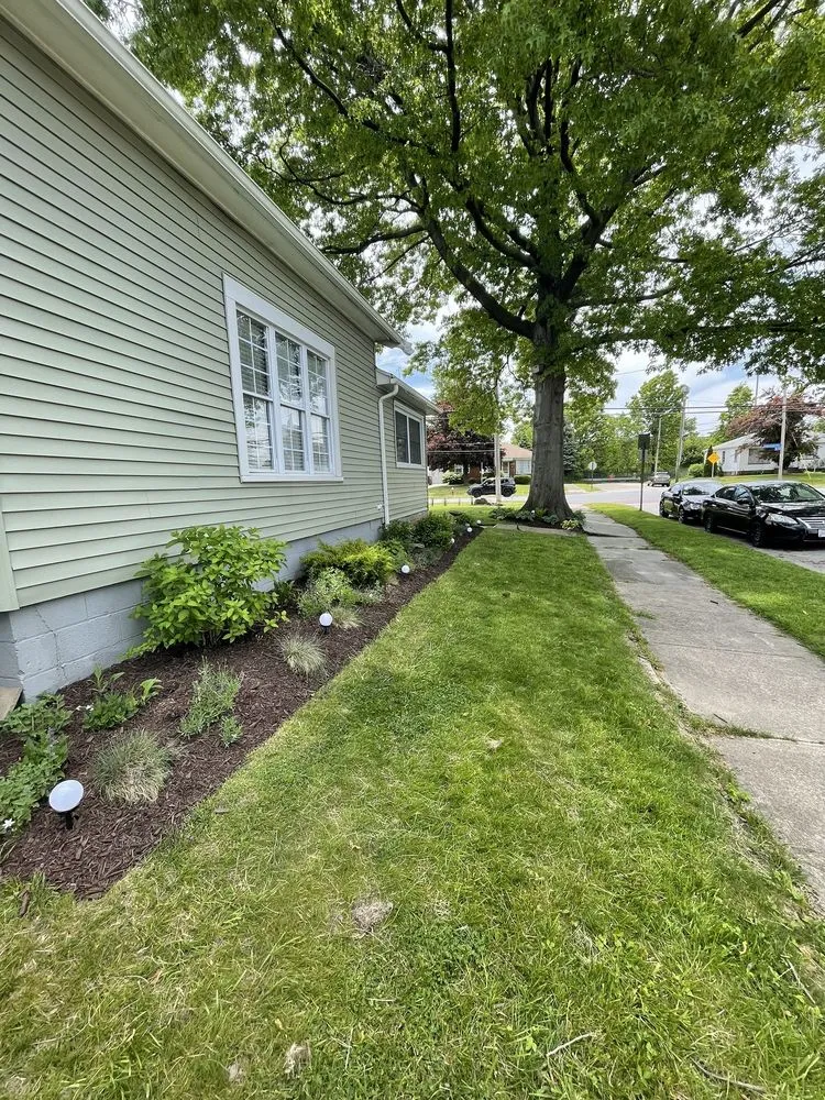 Top-rated yard cleanup service for year-round maintenance in Lakewood, OH by Pappas & Co Landscaping