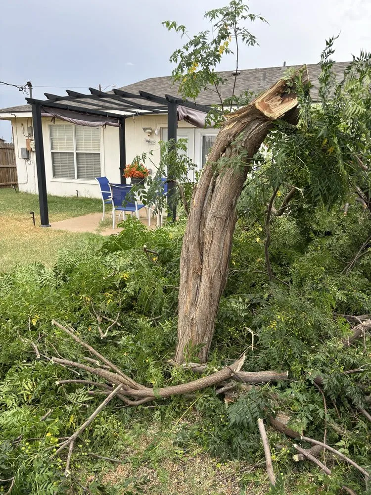 Reliable outdoor landscaping for beautiful yards across Odessa, TX - Par 3 Landscaping & Tree