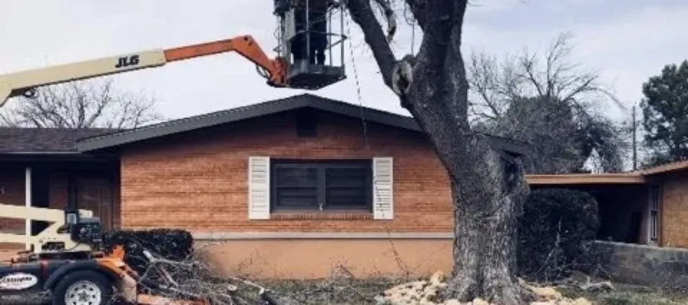 Custom landscape installation for year-round maintenance in Odessa, TX by Par 3 Landscaping & Tree