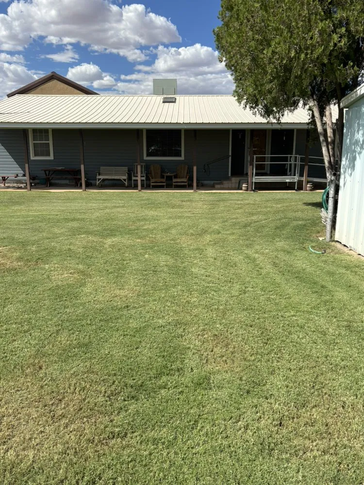 Professional lawn care service for homes across Odessa, TX - Par 3 Landscaping & Tree