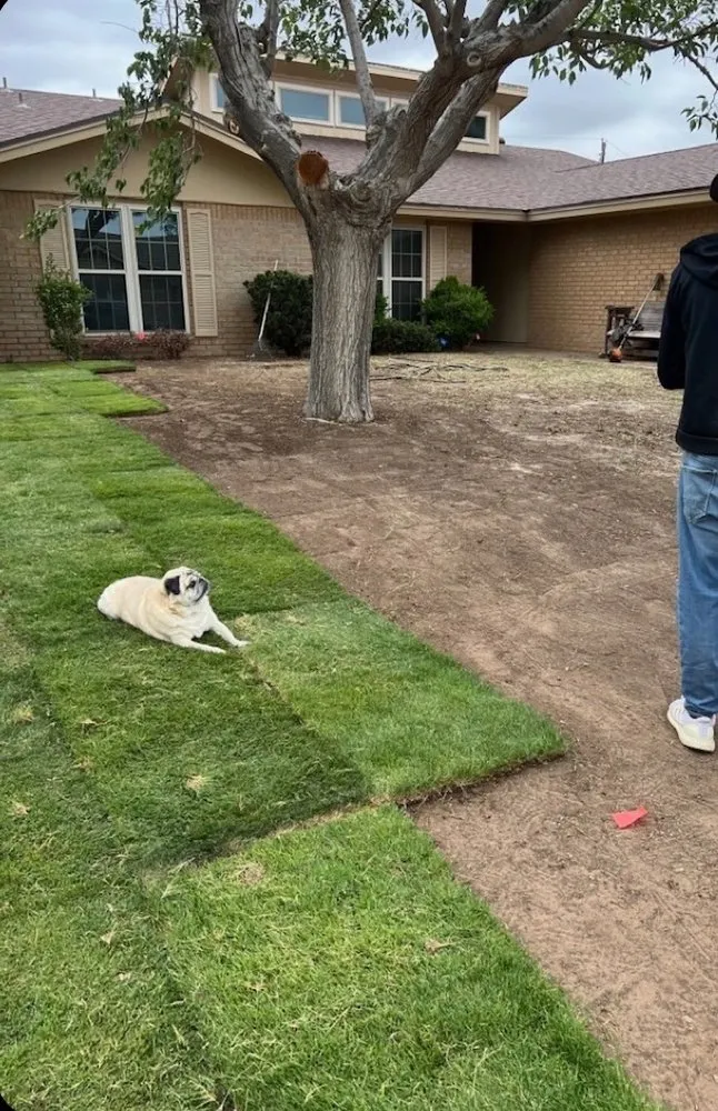 Professional outdoor landscaping in Odessa, TX - Par 3 Landscaping & Tree