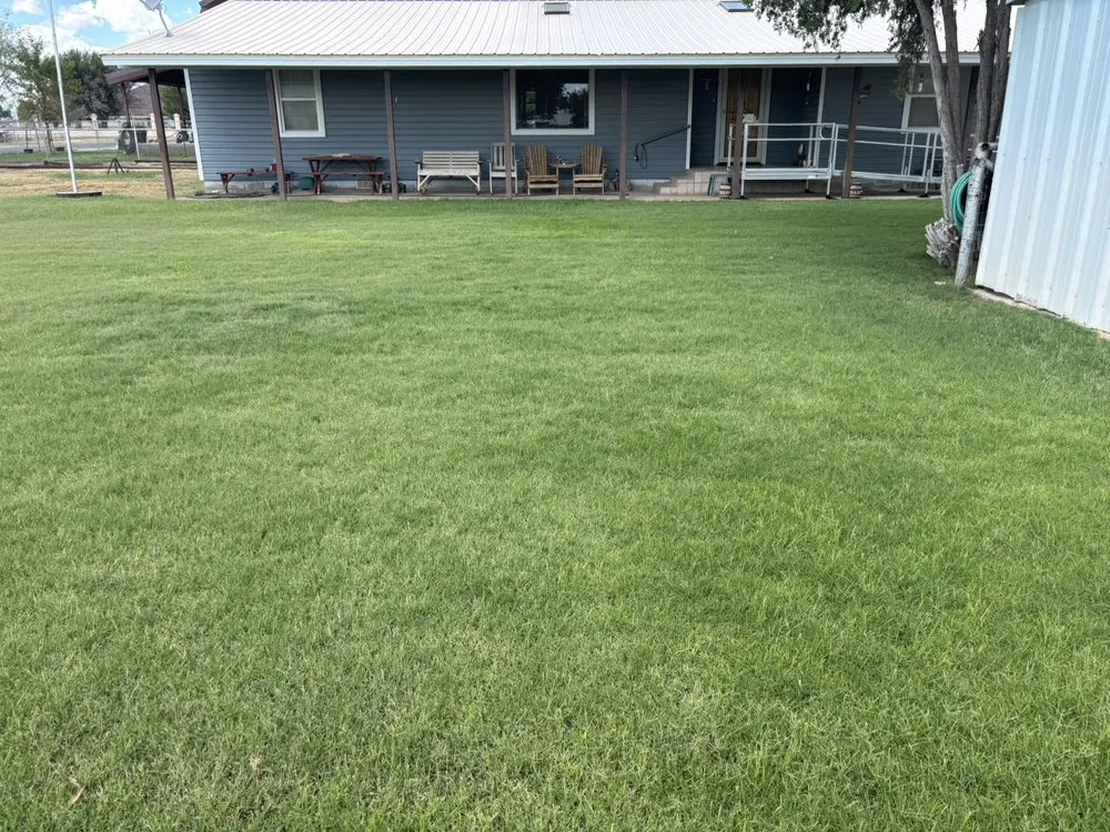 Top-rated lawn mowing service experts serving Odessa, TX - Par 3 Landscaping & Tree