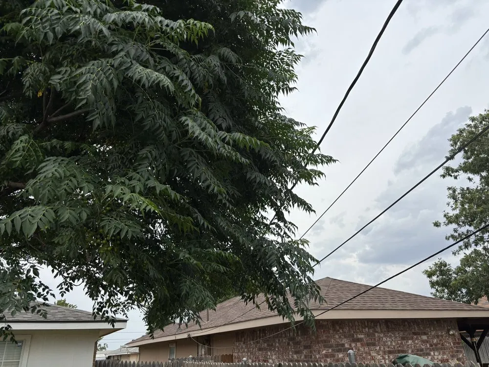 Expert garden landscaping with custom design across Odessa, TX - Par 3 Landscaping & Tree