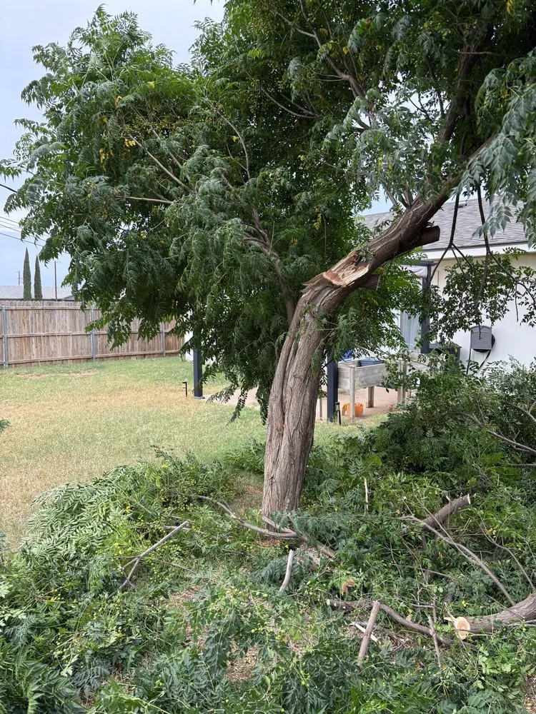 Custom landscape installation in Odessa, TX by Par 3 Landscaping & Tree