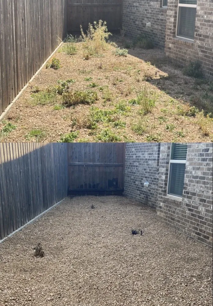 Reliable yard cleanup service for homes in Odessa, TX by Par 3 Landscaping & Tree
