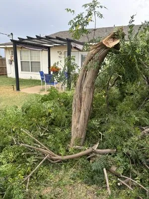 Par 3 Landscaping & Tree Logo