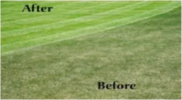 Affordable yard cleanup service for residential properties across Mosinee, WI - PAR Property Management