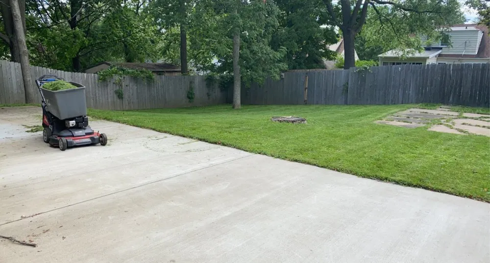 Expert yard cleanup service in Mosinee, WI - PAR Property Management