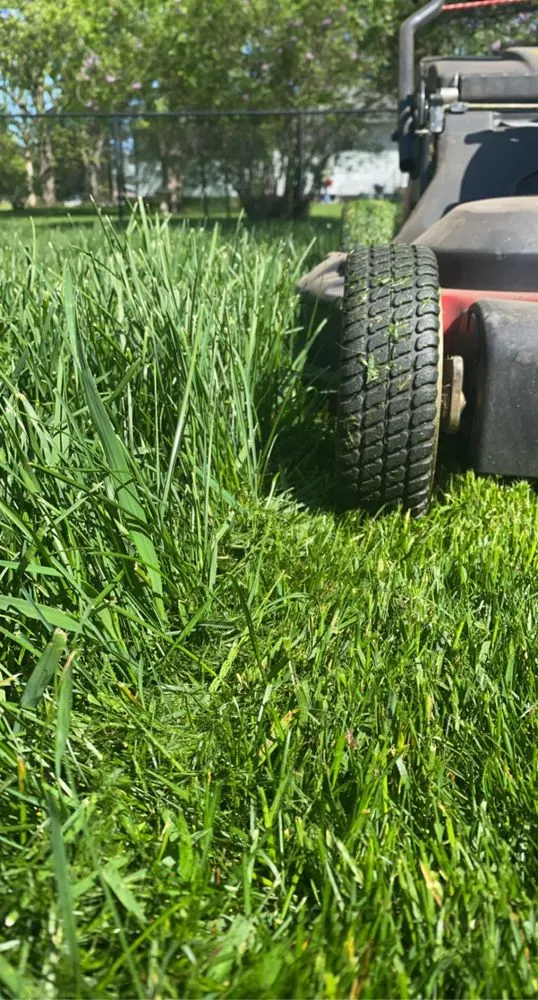 Professional landscape installation for beautiful yards in Mosinee, WI by PAR Property Management