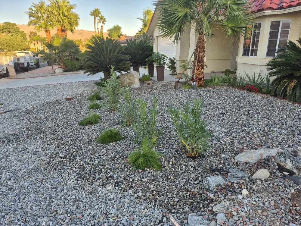 Top-rated landscape installation for beautiful yards in Desert Hot Springs, CA by Par3 Landscape