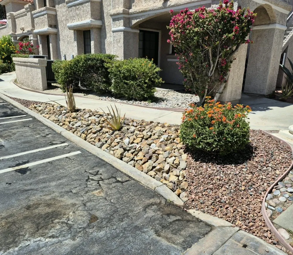 Reliable lawn care service in Desert Hot Springs, CA by Par3 Landscape