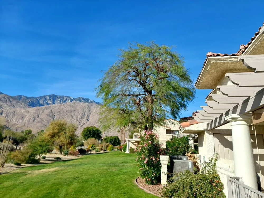 Local lawn care service for outdoor upgrades in Desert Hot Springs, CA by Par3 Landscape