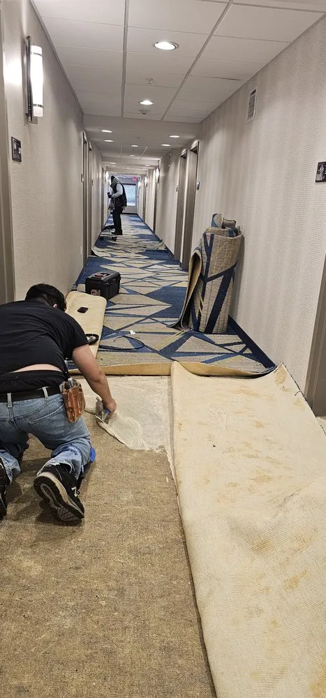 Reliable yard maintenance in Nanjemoy, MD - Parada Services