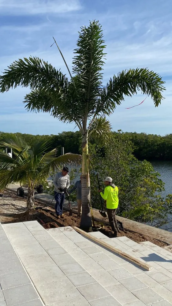 Trusted landscape installation experts serving Plant City, FL - Paradigm Landscape