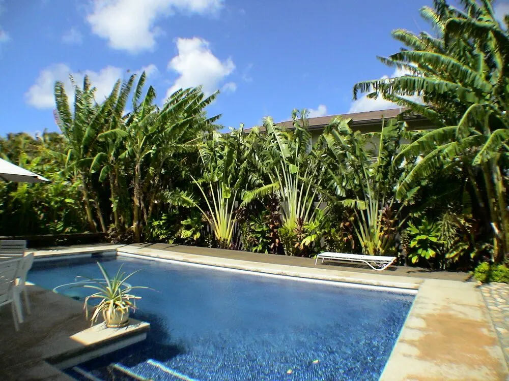 Top-rated landscape installation for homes across Honolulu, HI - Paradise By Design Landscaping