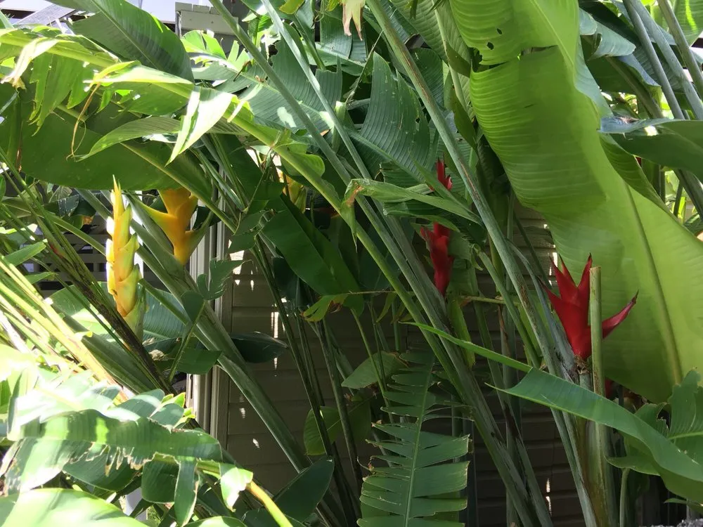 Local landscape installation in Honolulu, HI - Paradise By Design Landscaping