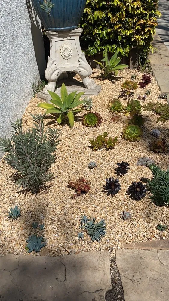 Expert yard cleanup service in Santa Barbara, CA - Paradise by Design