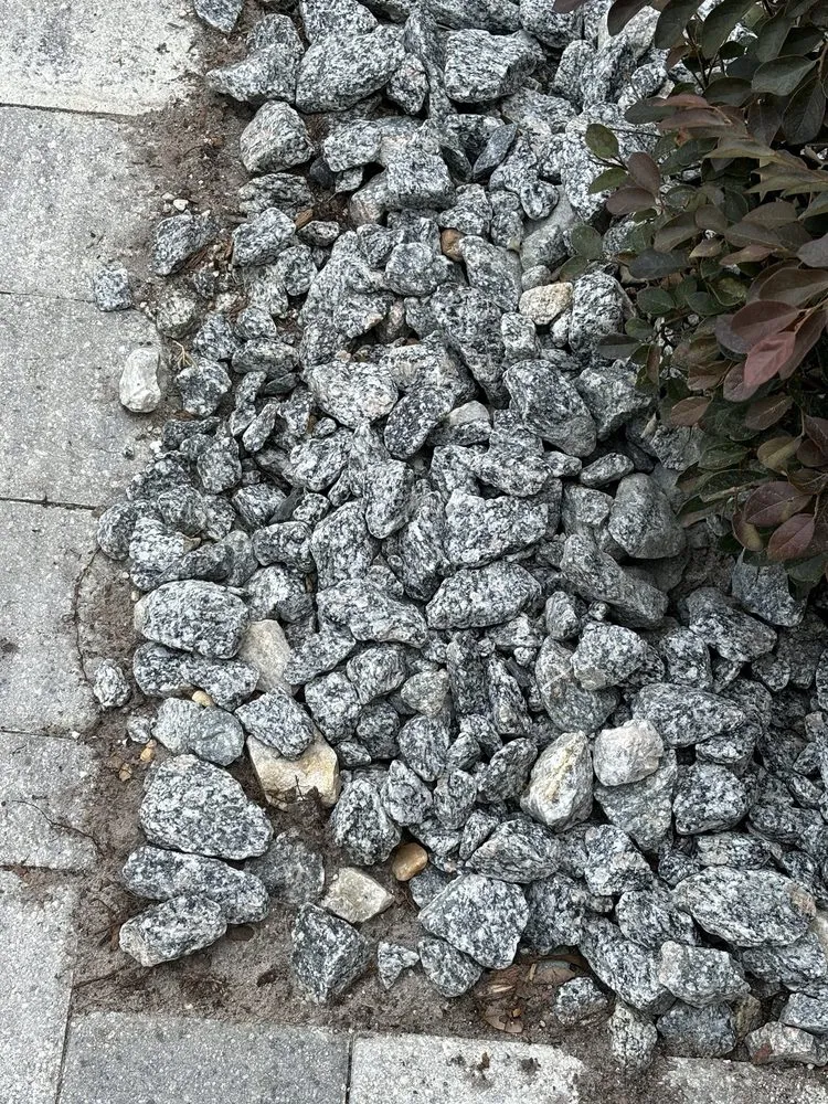 Trusted yard cleanup service for outdoor upgrades across Bartow, FL - Paradise City Lawn & Landscape