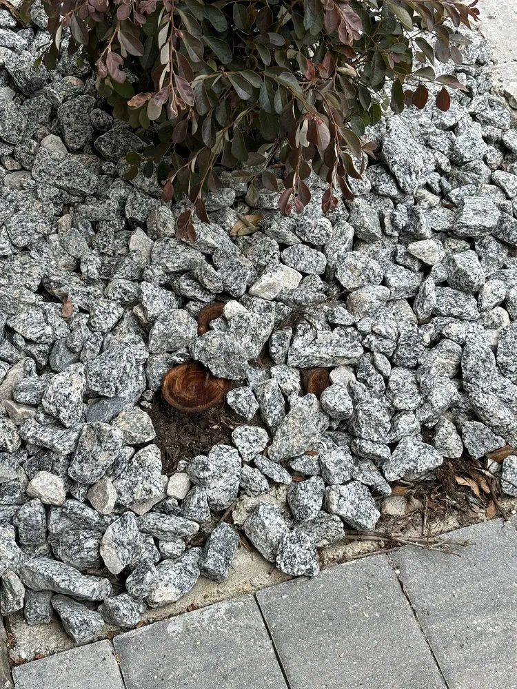 Professional garden landscaping for homes across Bartow, FL - Paradise City Lawn & Landscape