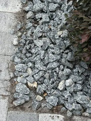 Paradise City Lawn & Landscape Logo