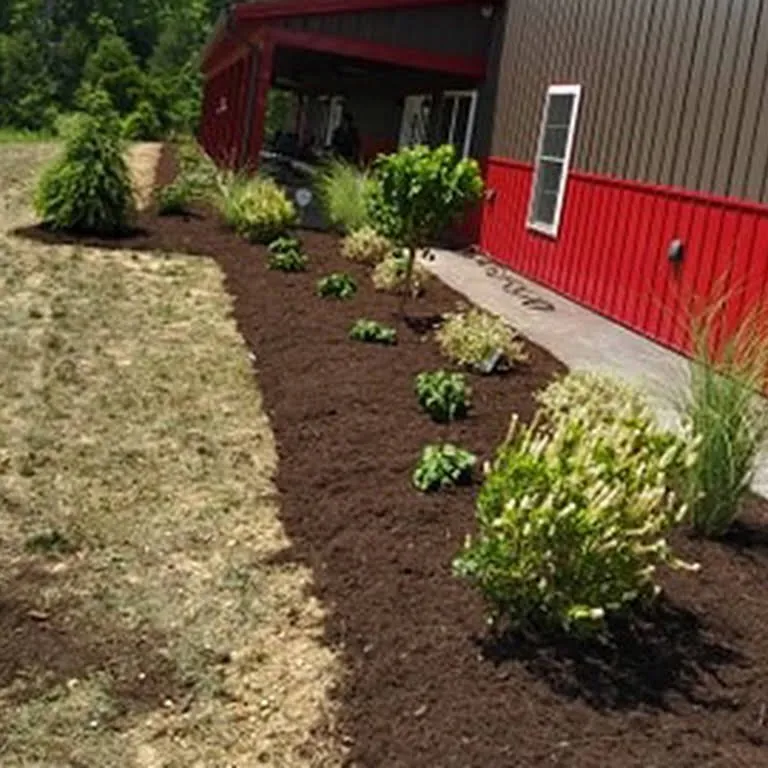 Top-rated residential landscaping experts serving Bonita Springs, FL - Paradise Coast Landscaping