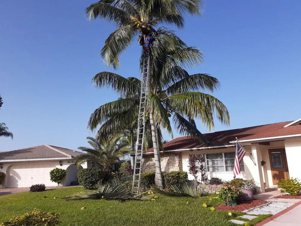 Reliable landscape installation in Bonita Springs, FL by Paradise Coast Landscaping