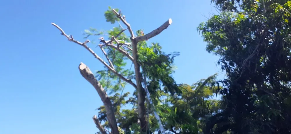 Local garden landscaping in Bonita Springs, FL - Paradise Coast Landscaping