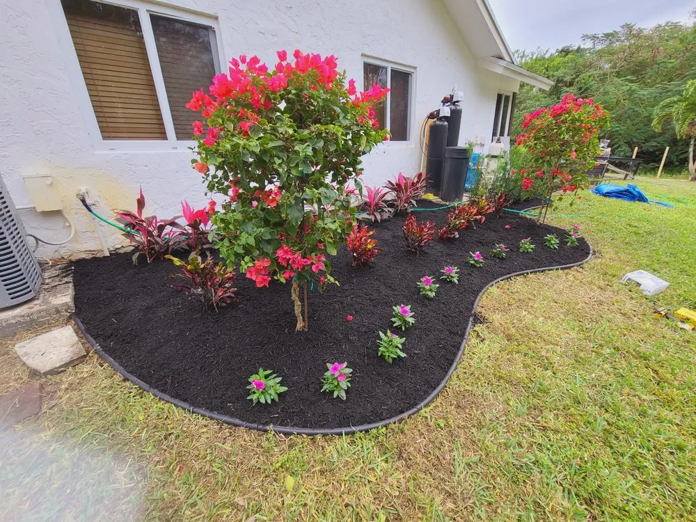 Top-rated landscaping services in Coral Springs, FL - Paradise Complete Property Maintenance