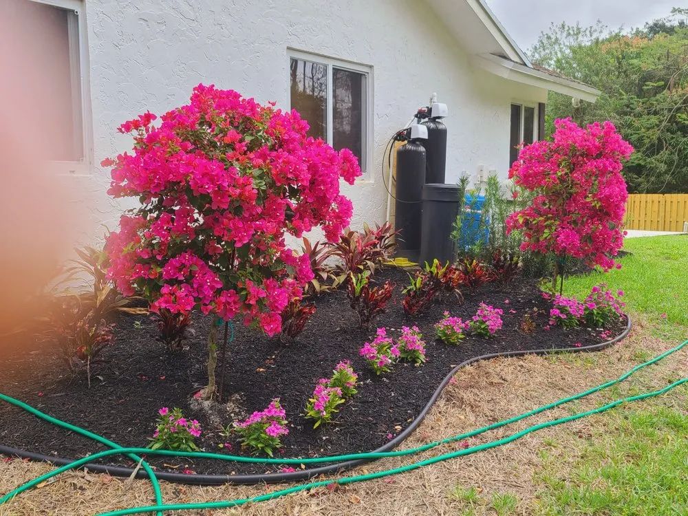 Trusted yard cleanup service in Coral Springs, FL - Paradise Complete Property Maintenance