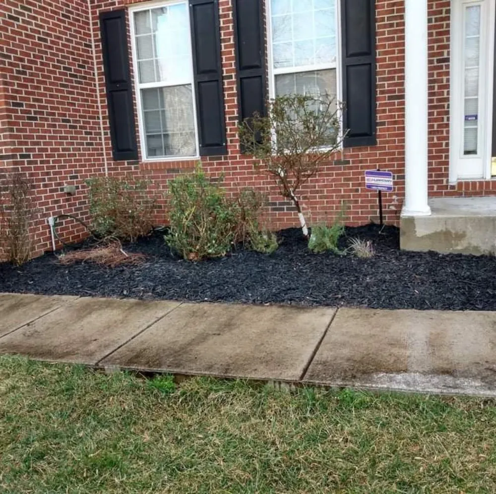 Top-rated lawn mowing service experts serving Washington DC, DC - Paradise Customer Services Landscaping Handyman Transportation