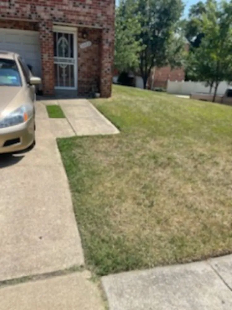 Expert residential landscaping for year-round maintenance in Washington DC, DC by Paradise Customer Services Landscaping Handyman Transportation