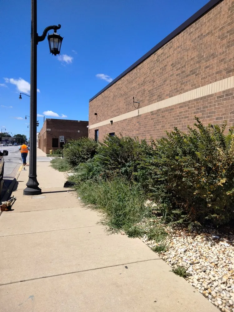 Local garden landscaping near you across Chicago, IL - Paradise Eden Landscaping