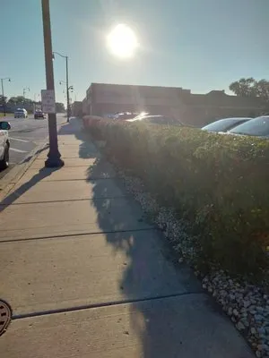 Paradise Eden Landscaping Logo