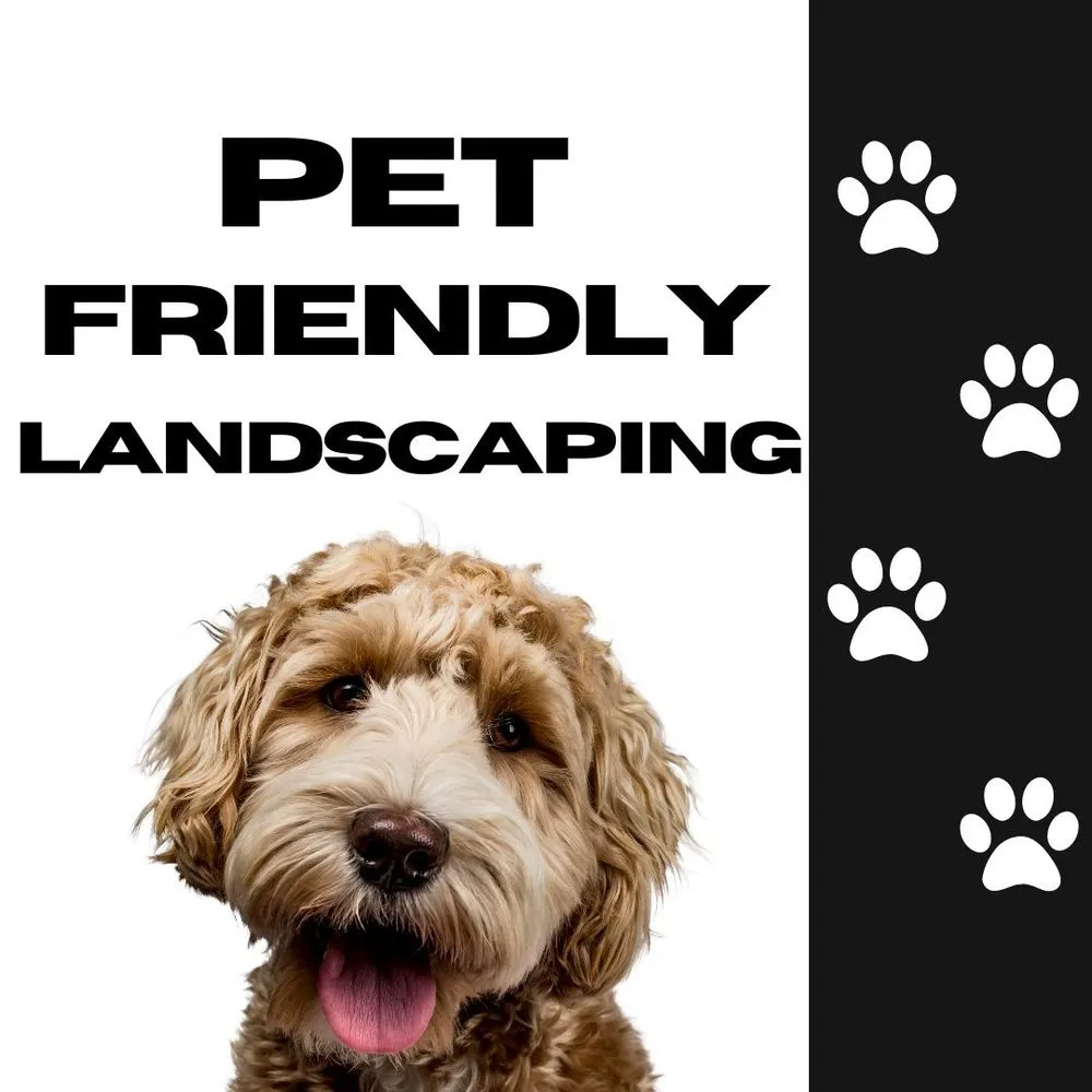 Custom yard cleanup service for year-round maintenance in Castle Rock, CO by Paradise Exteriors