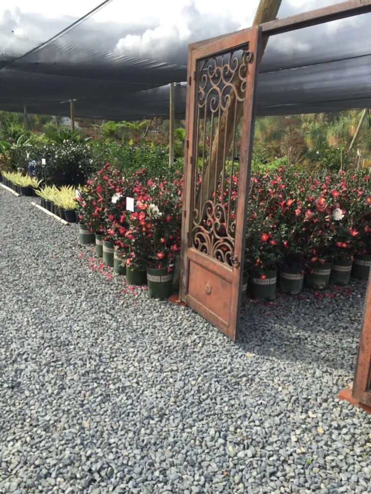 Expert residential landscaping experts serving Riverside, CA - Paradise Garden Center