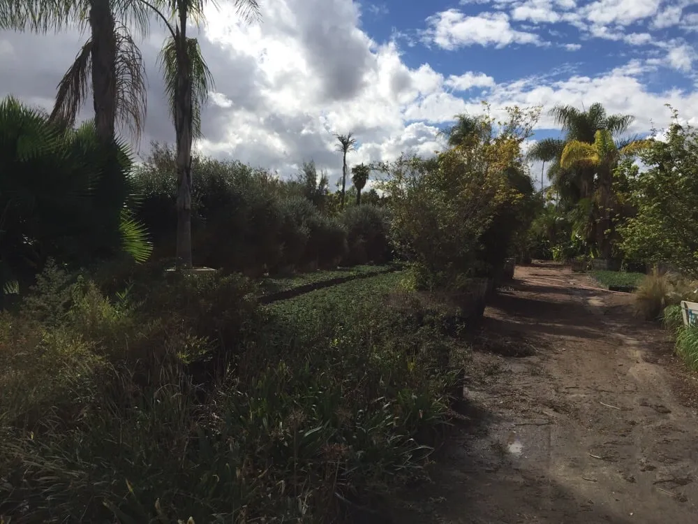 Local residential landscaping in Riverside, CA - Paradise Garden Center
