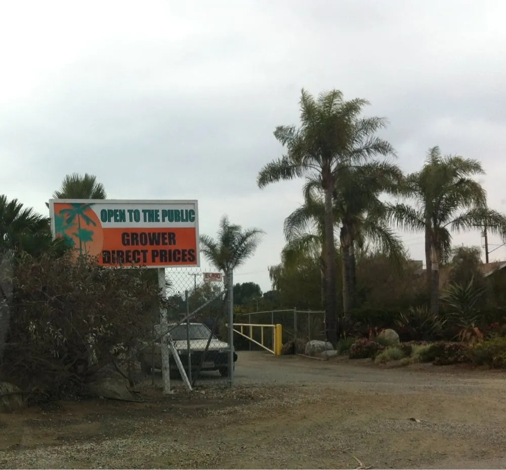 Expert residential landscaping experts serving Riverside, CA - Paradise Garden Center