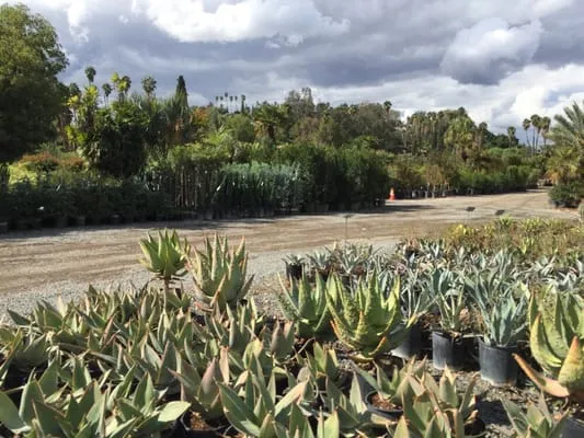 Paradise Garden Center Logo