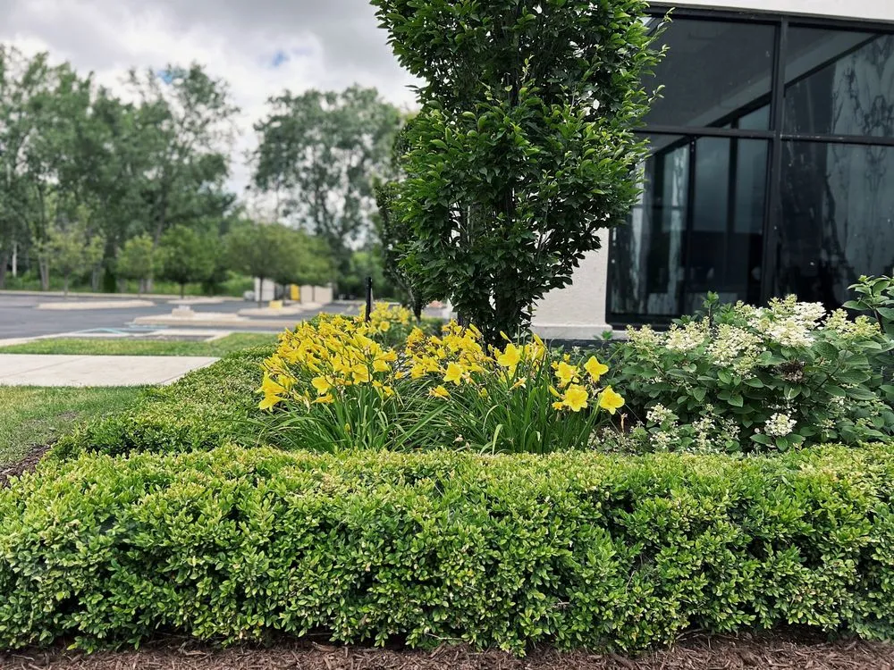 Affordable yard maintenance experts serving Warren, MI - Paradise Garden Landscaping