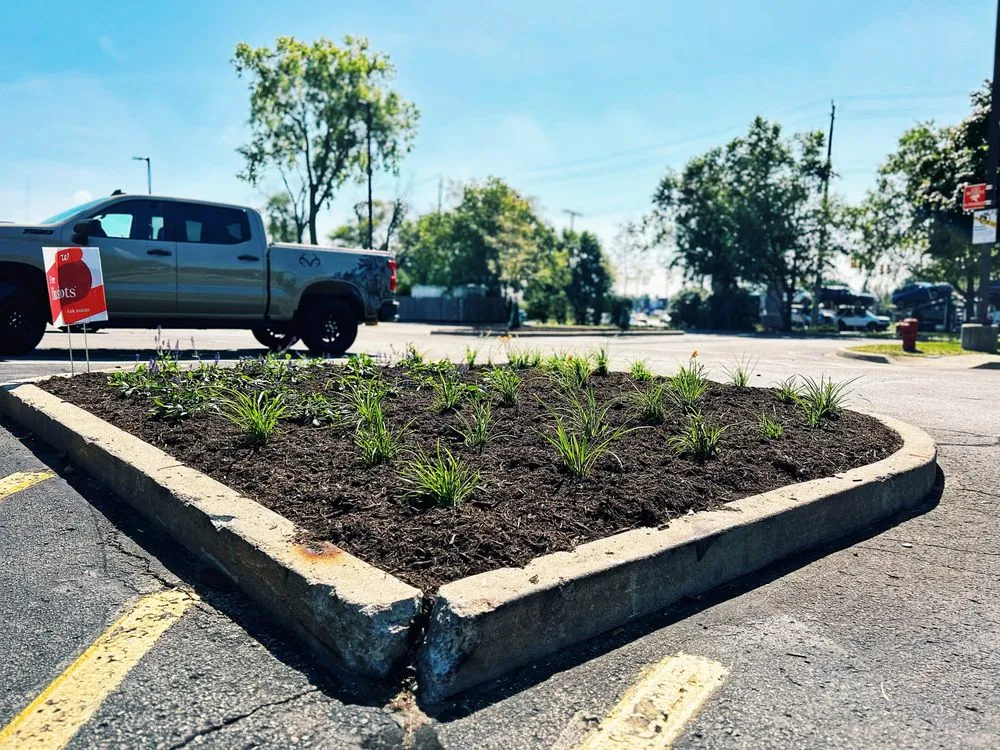Local landscape installation for beautiful yards across Warren, MI - Paradise Garden Landscaping