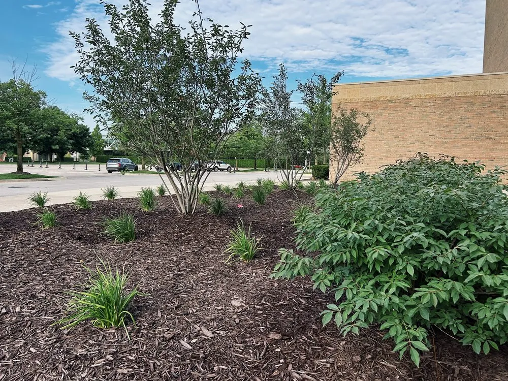 Top-rated lawn care service for residential properties in Warren, MI by Paradise Garden Landscaping